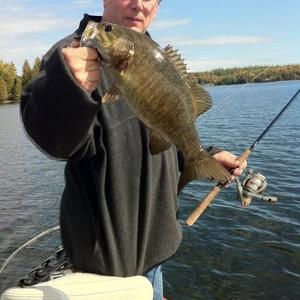 Meet your Posher, Barry